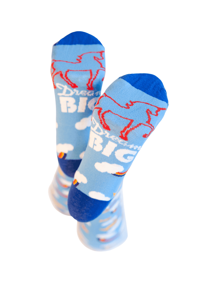 Ruby's Dream Big by Pride Socks