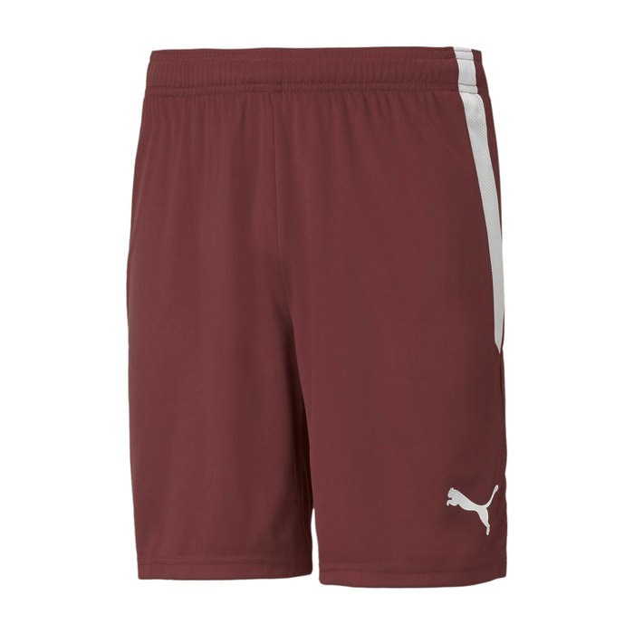 Puma Team Liga Shorts (Burgundy) | SoccerWearhouse