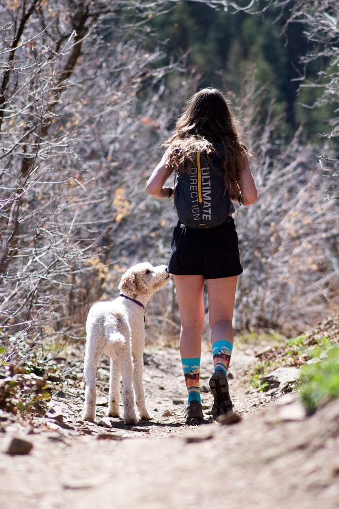 Trailblazer Crew by Pride Socks