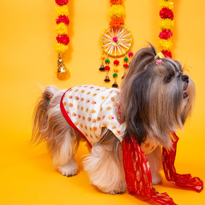 White & Red Royal Dog Kurta - Elegant Indian Dog Ethnic Wear Dress