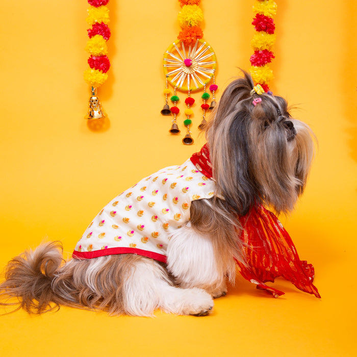 White & Red Royal Dog Kurta - Elegant Indian Dog Ethnic Wear Dress