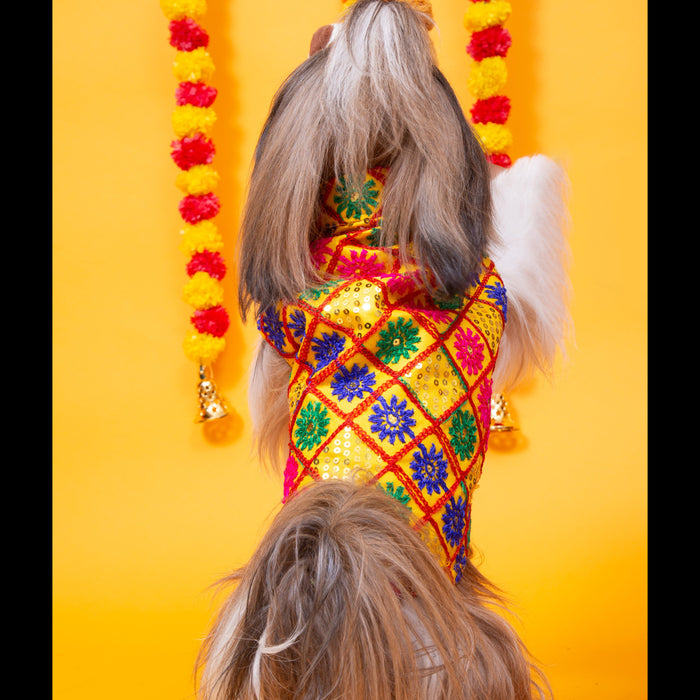 Yellow Jhilmil Dog Sherwani